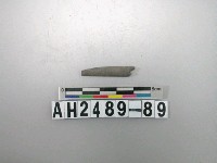 藏品(磨製石針)的圖片